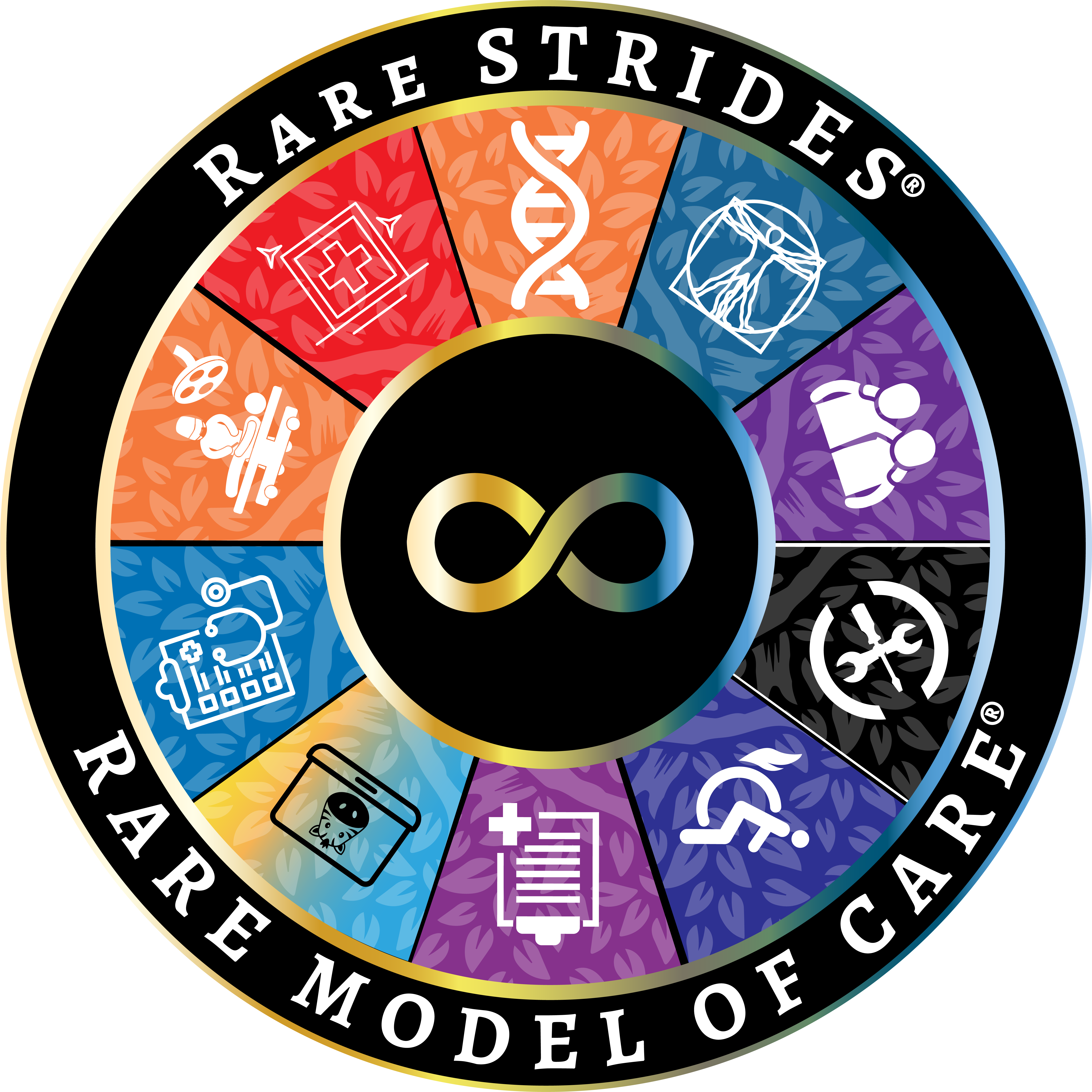The Rare Strides Rare Model of Care wheel